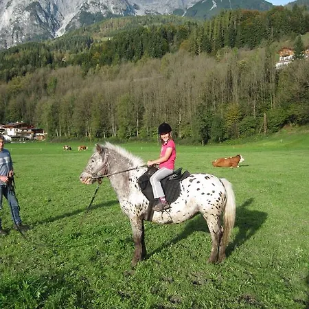 Ferienhaus Hoellwart