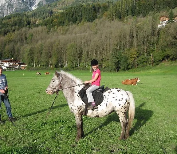 Ferienhaus Höllwart